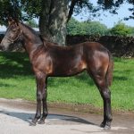 Pin Kronos föl upp2 210802