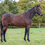 Mitsuri Kanroji 2025