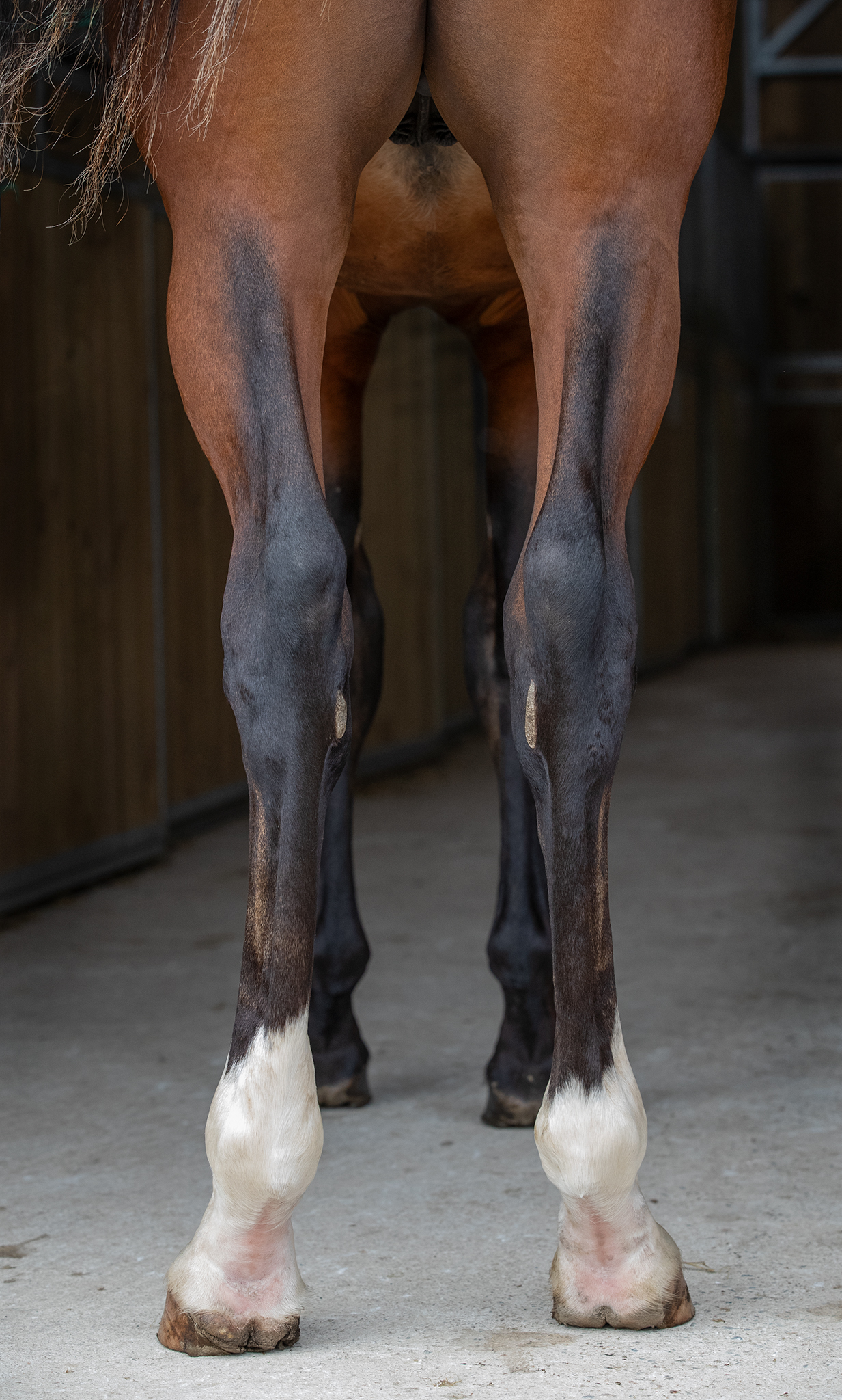 Nearco juli 2024