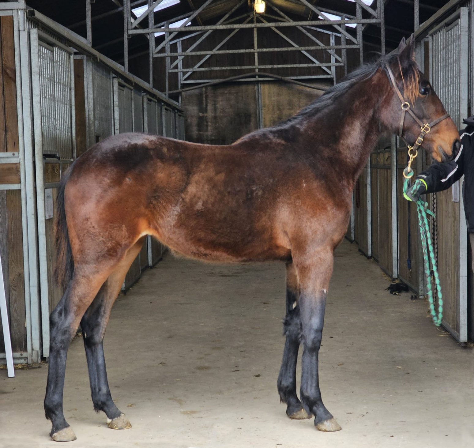 Oaklawn feb 2025