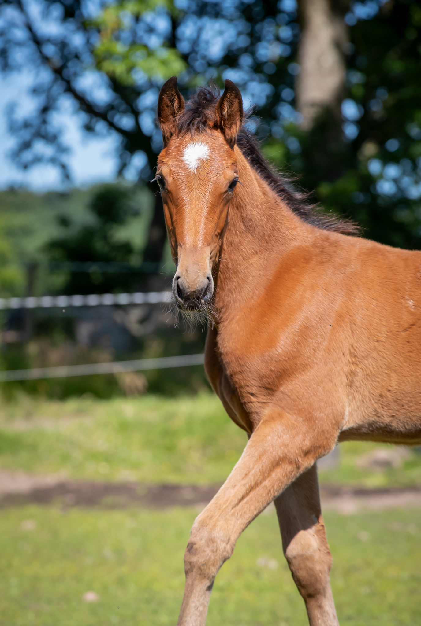 Föl u Heaven Am 2025