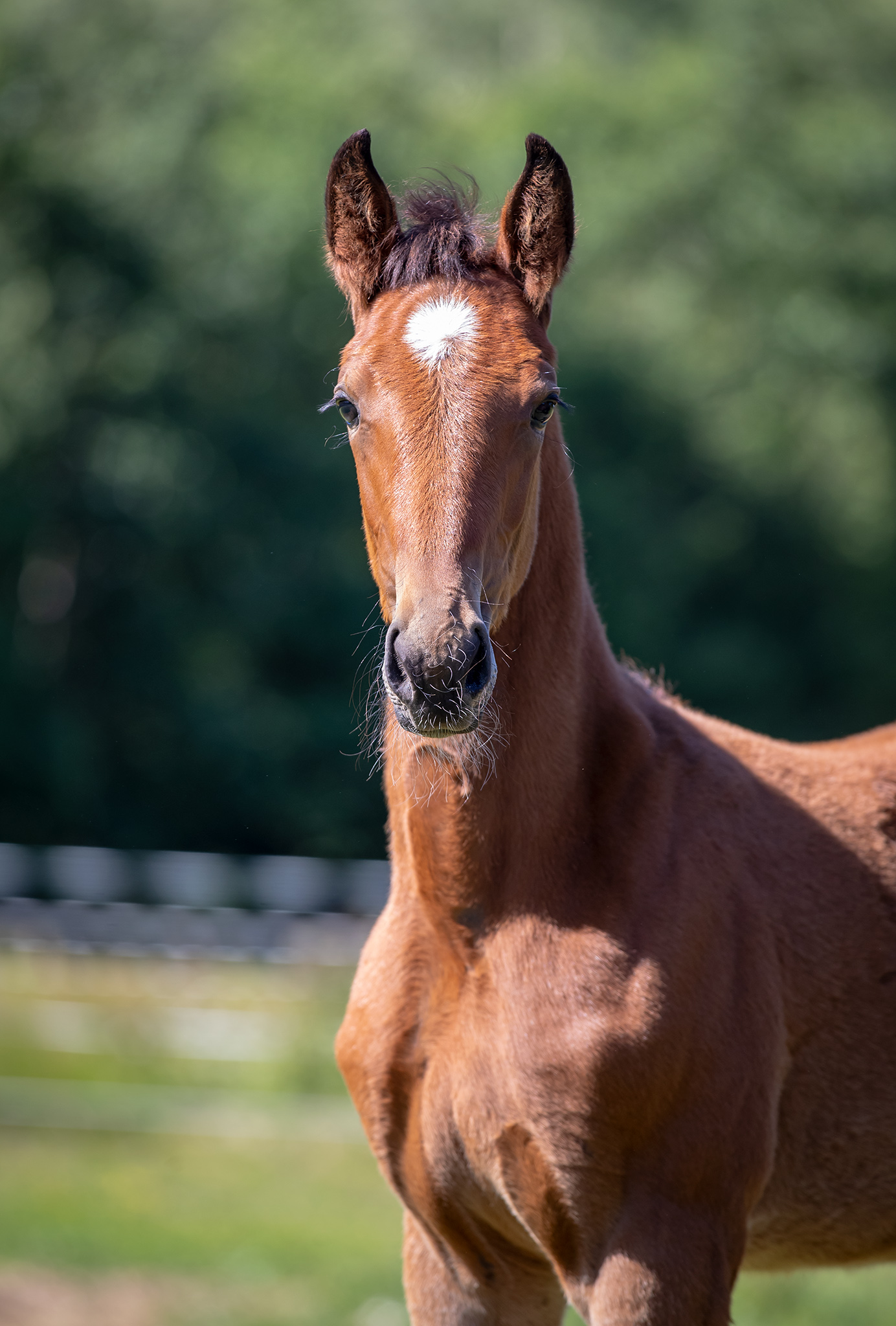 Föl u Heaven Am 2025